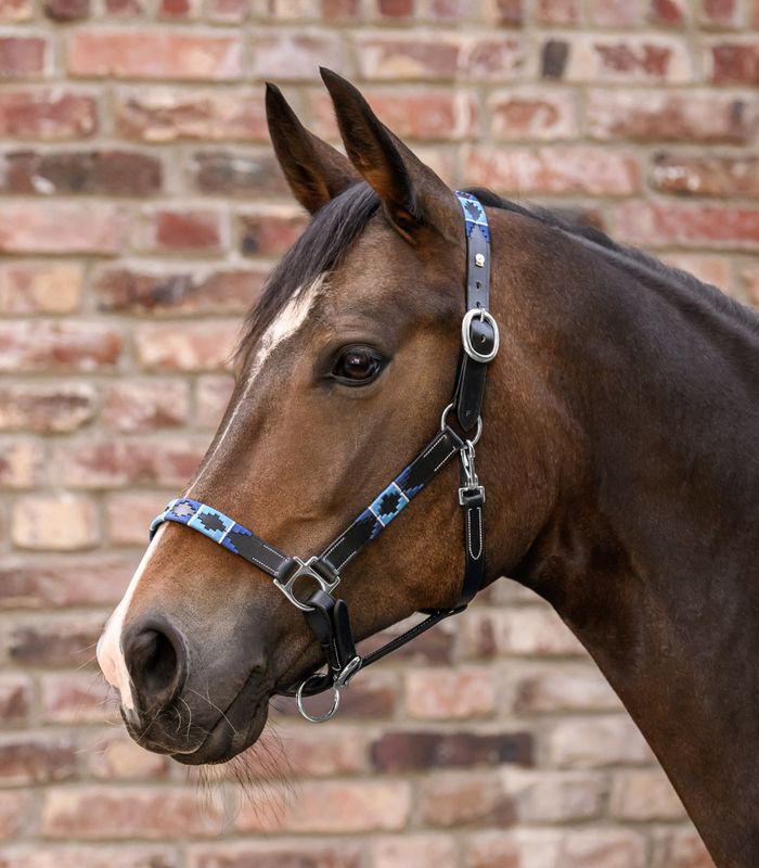 Waldhausen X-Line Lærgrime Polo