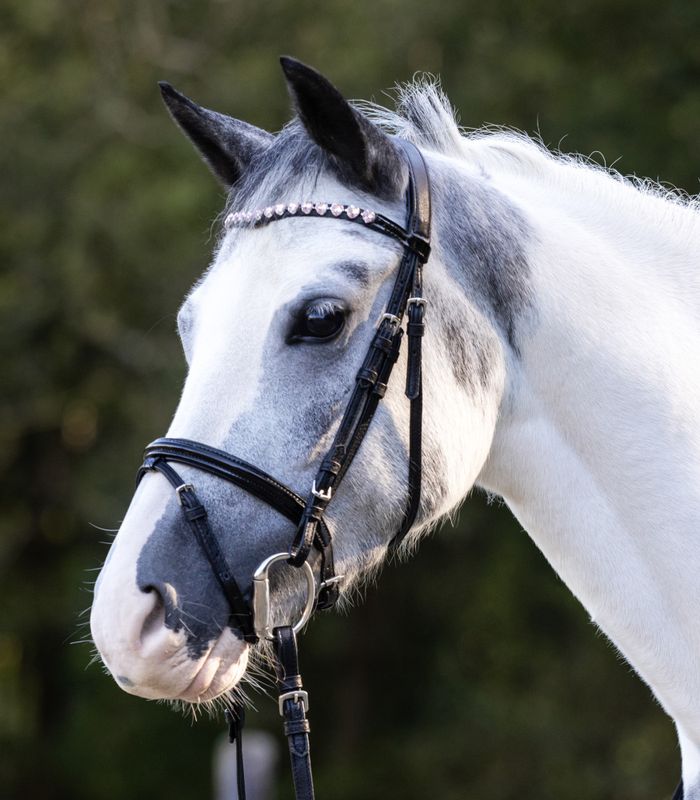 Waldhausen Happy Hearts Hodelag
