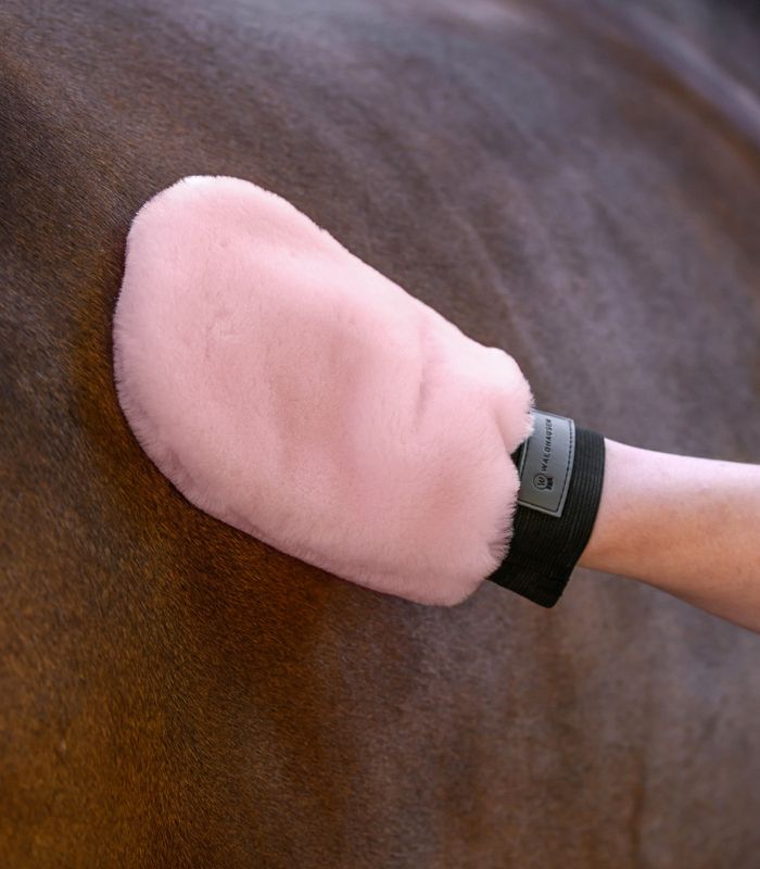 Waldhausen Lucky Lambskin Grooming Glove
