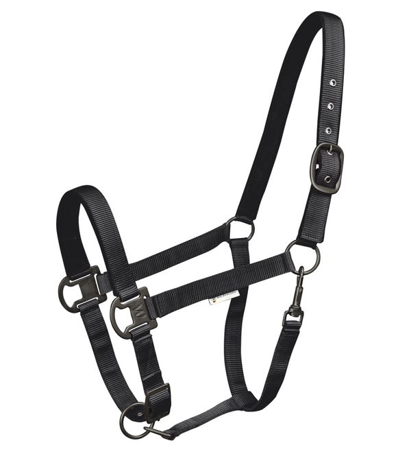 Hovedbilde Waldhausen Gloomy Grime