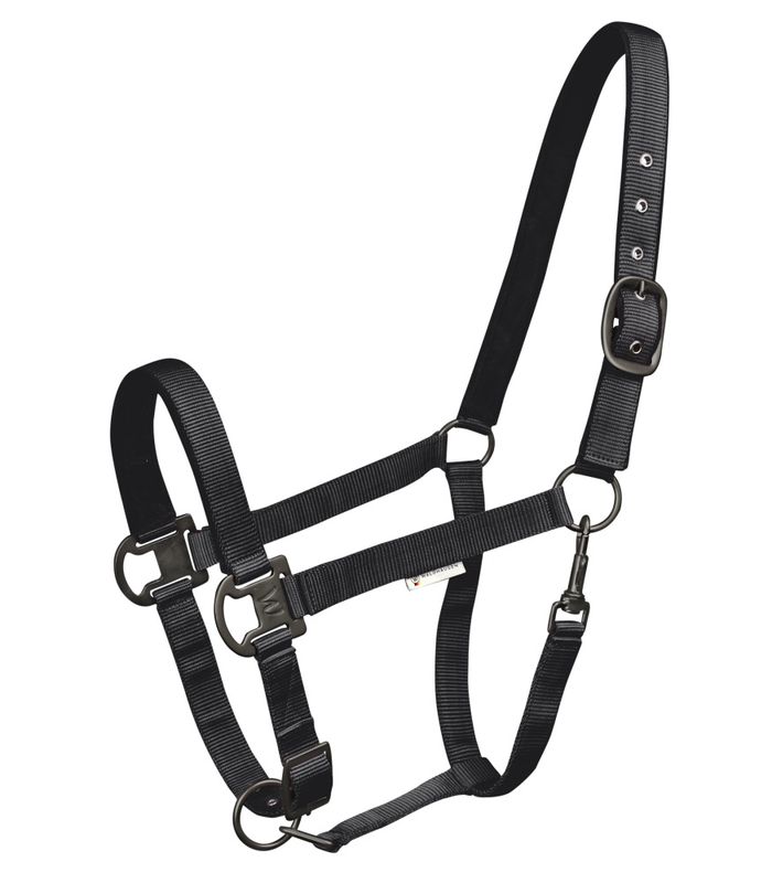 Waldhausen Gloomy Grime