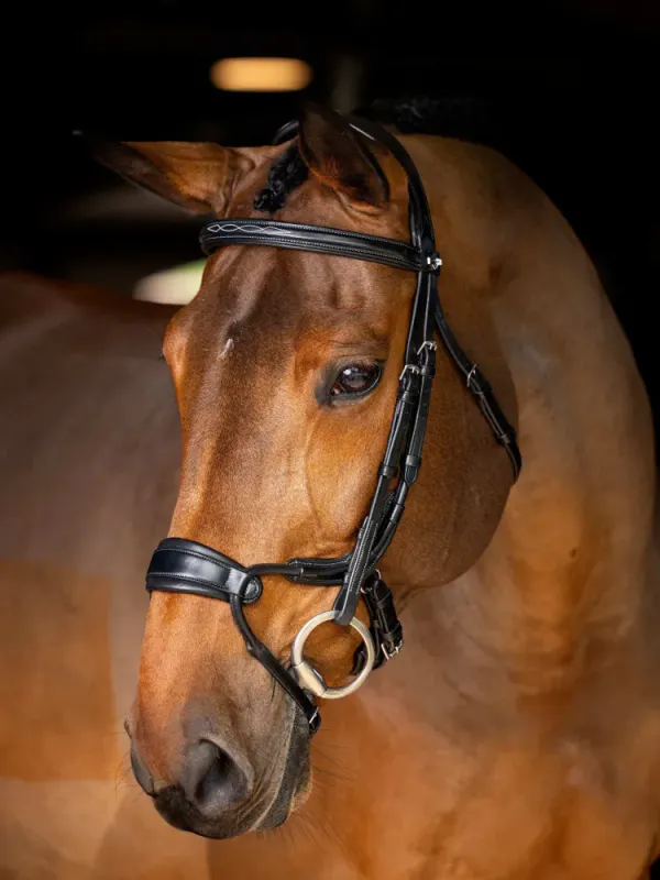 LeMieux Kudos Clear Arc Bridle Black/Silver