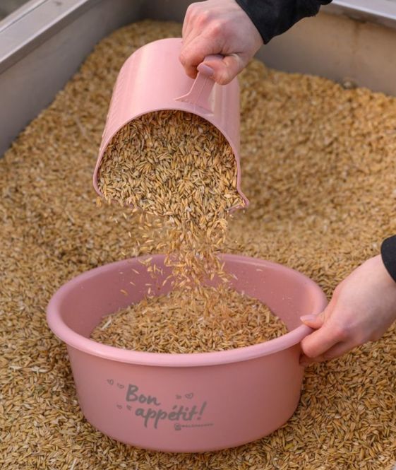 Hovedbilde Waldhausen Feed scoop