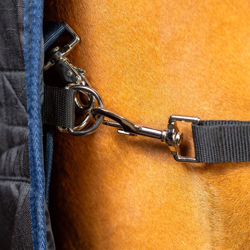 Aloga Pro Stable 100g