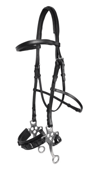 Hovedbilde Hansbo Hackamoore hodelag