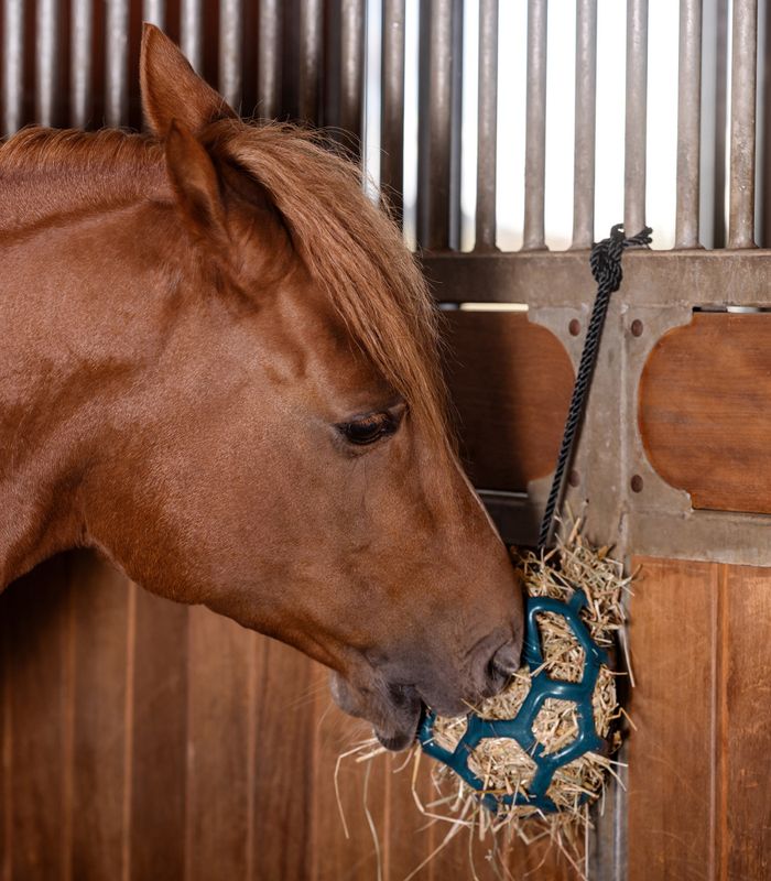 Waldhausen Hay Ball