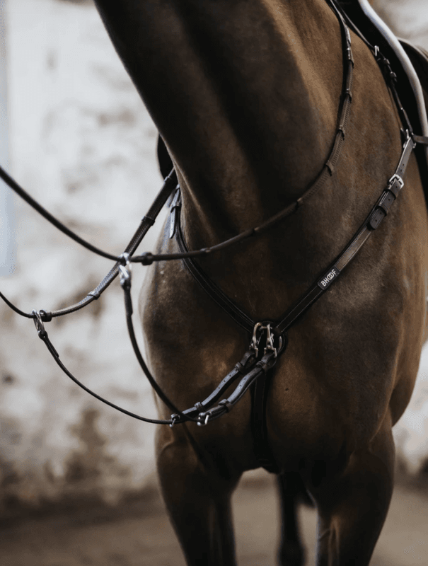 BHOOF BREASTPLATE 1 - MID POSITION