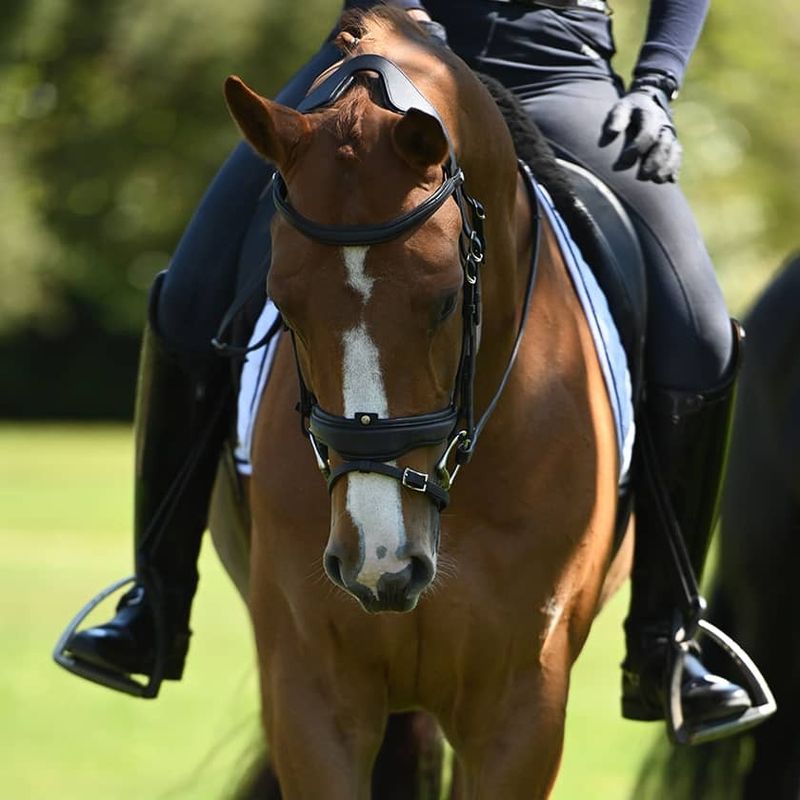 Antarès Precision Anatomisk Hodelag