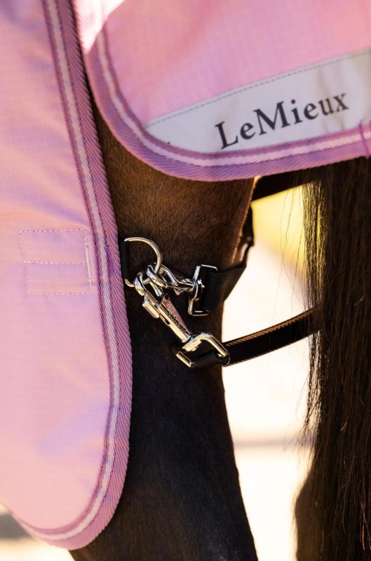 LeMieux Arika Ripstop 0g Turnout Rug Fondant