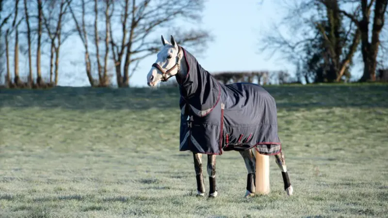 LeMieux Kudos Turnout Rug 200g