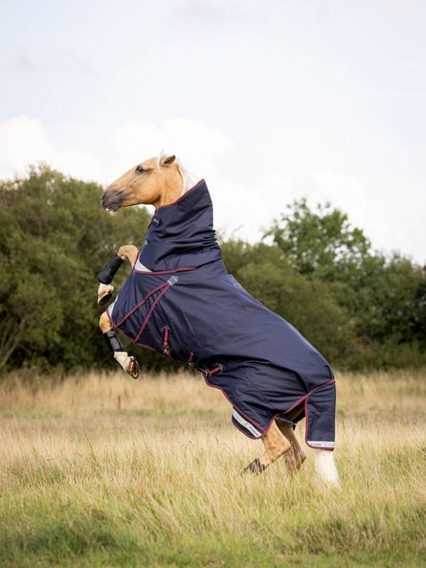LeMieux Kudos Turnout Rug 100g
