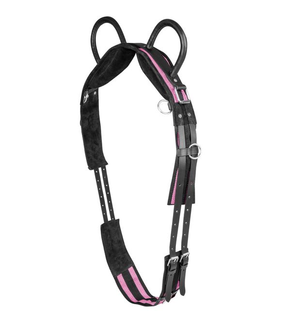 Hovedbilde Waldhausen Longegjord med håndtak