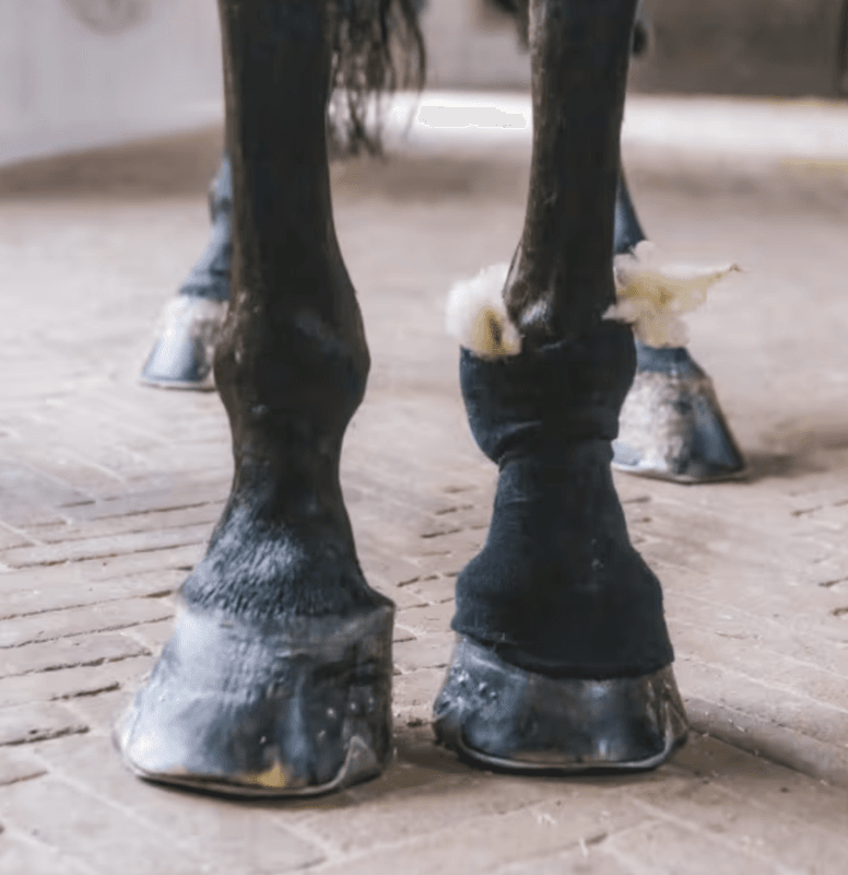 Grooming Deluxe Therapeutic Wool