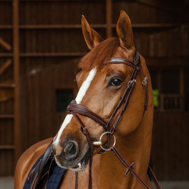 Antarès Signature Sport Flash Noseband Snaffle 