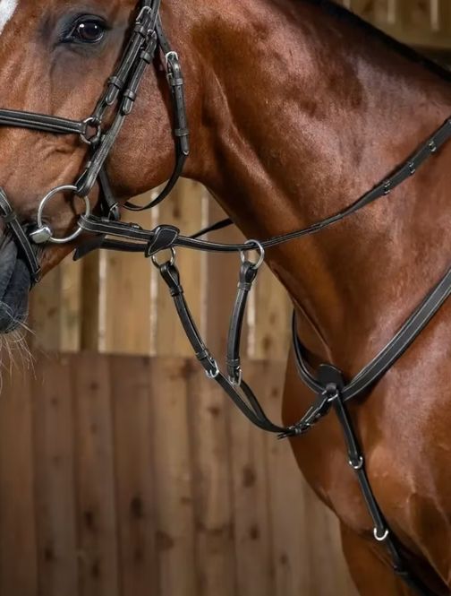 Hovedbilde Dyon Running Martingale Attachment