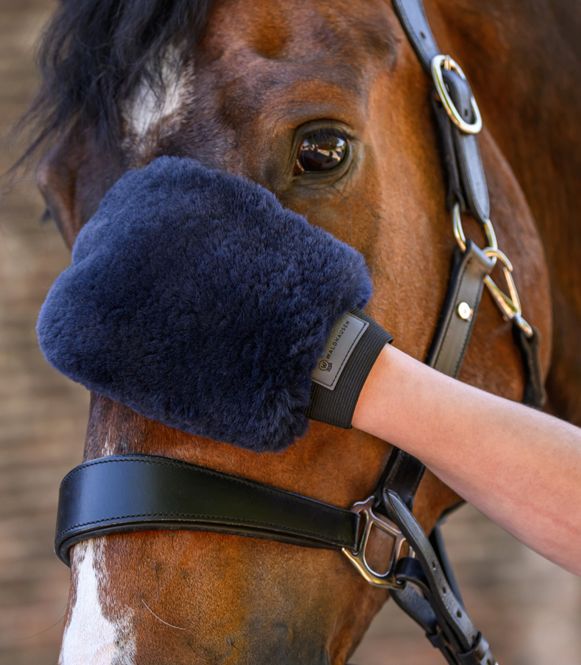 Hovedbilde Waldhausen Lucky Lambskin Grooming Glove