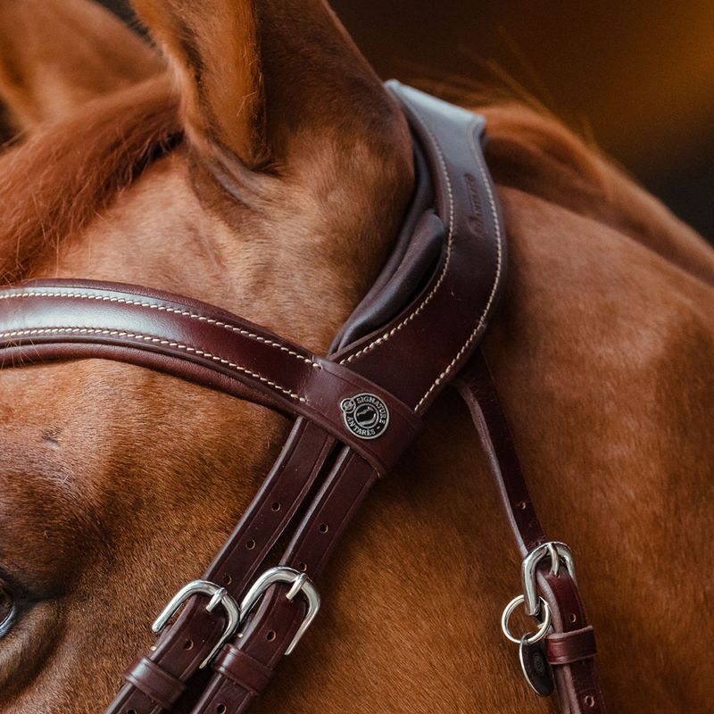 Antarès Signature Sport Flash Noseband Snaffle 