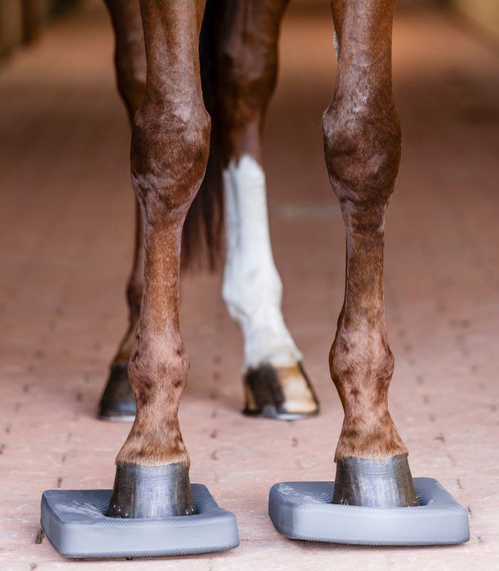 Waldhausen Health+Care Balanseputer