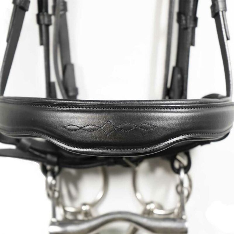 Signature by Antarès Kandar